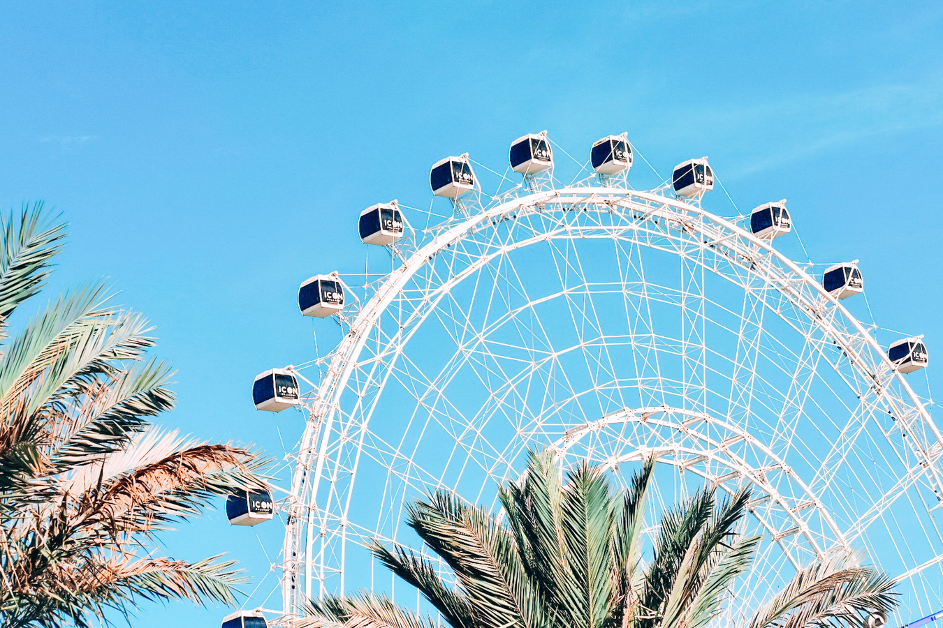 Ferris wheel at ICON Park